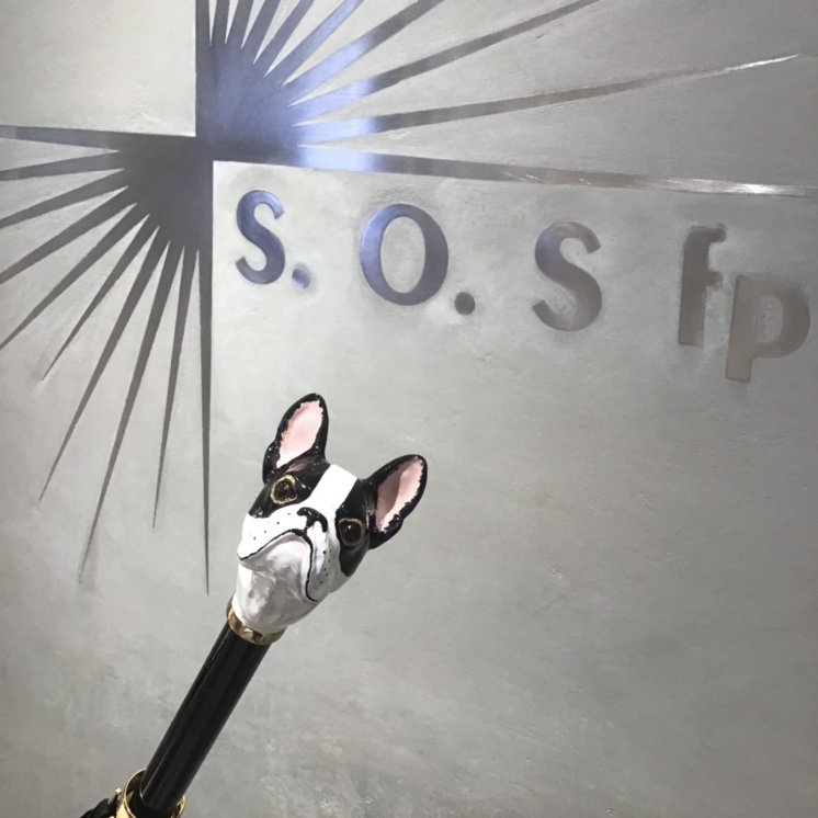 世界一美しい傘【pasotti】 | S.O.S fp Staff Blog