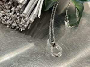 Large Horseshoe Necklace LGDiamond アイキャッチ
