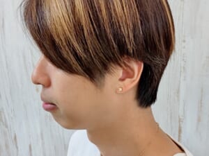 ガーデルのスタッドピアス